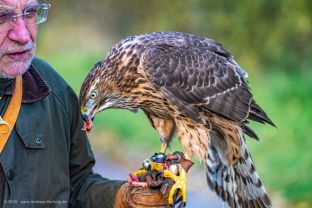 _DSC9214 Kopie.jpg