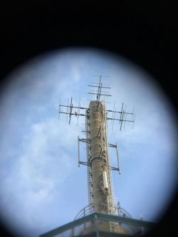 Wanderfalke_Turm.jpg