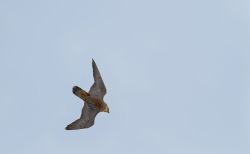 20130119_0026.jpg