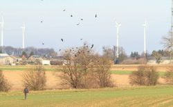 20140118_Juelich KT_0072.jpg