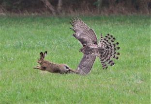 IMG_8639 (2).jpg