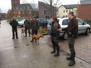 Jungfalknerbeize_2.jpg